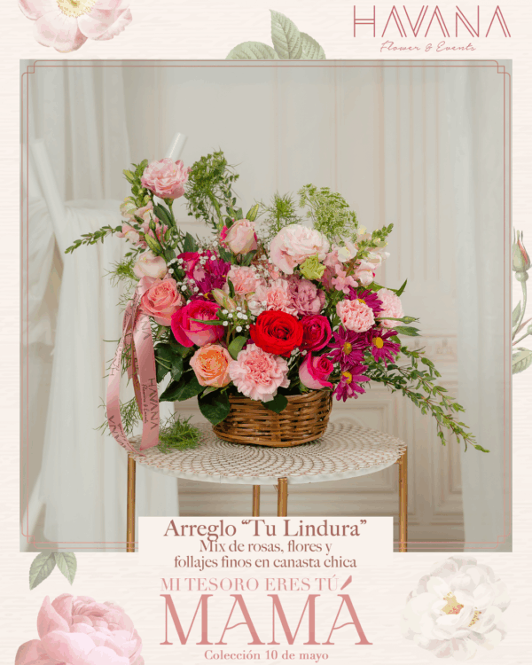 Arreglo Tu Lindura